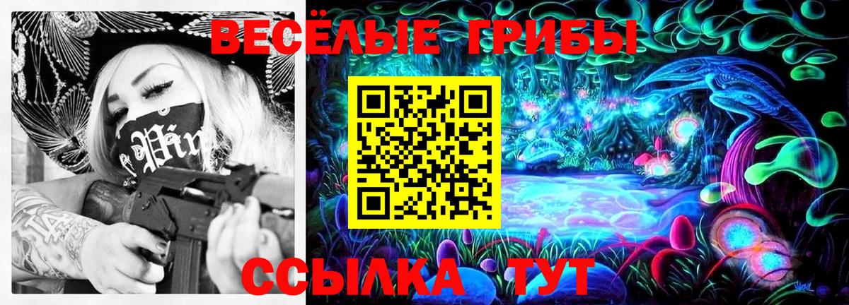 Галлюциногенные грибы GOLDEN TEACHER  Псилоцибиновые грибы Psilocybine cubensis  Вход с VPN  Малгобек 